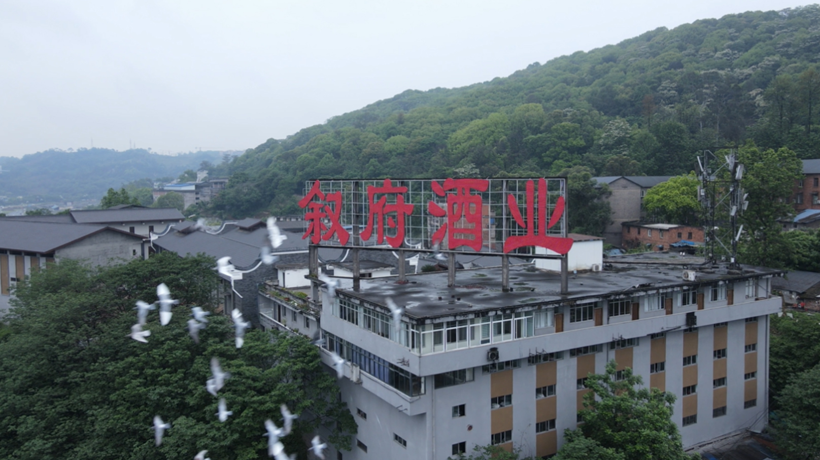微信圖片_20250513151143.jpg